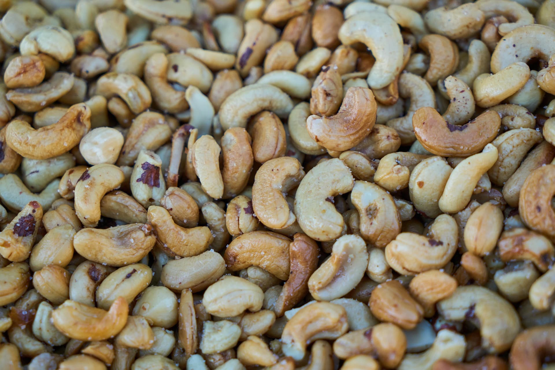 Cashew Nut