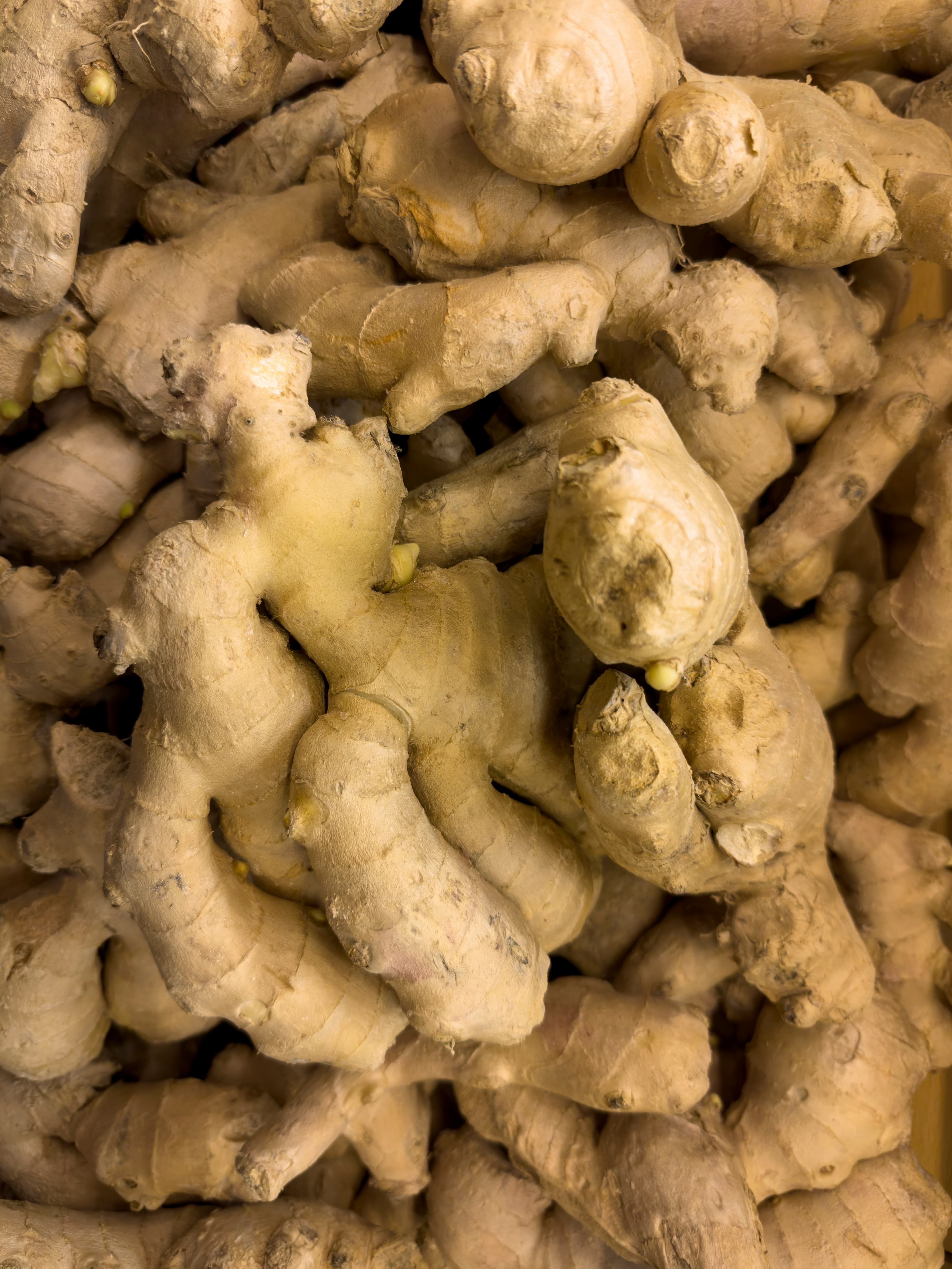 Ginger
