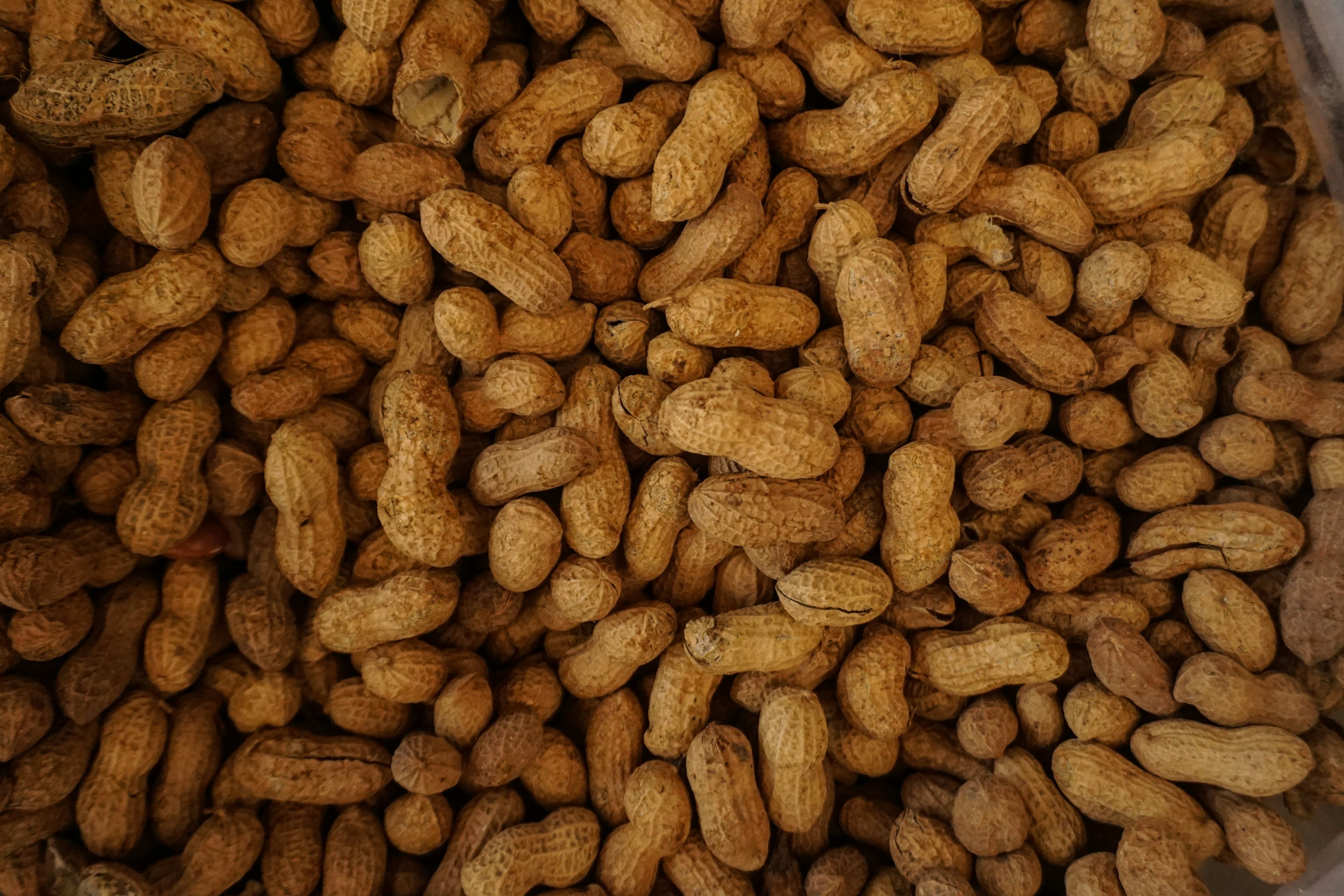 Beans