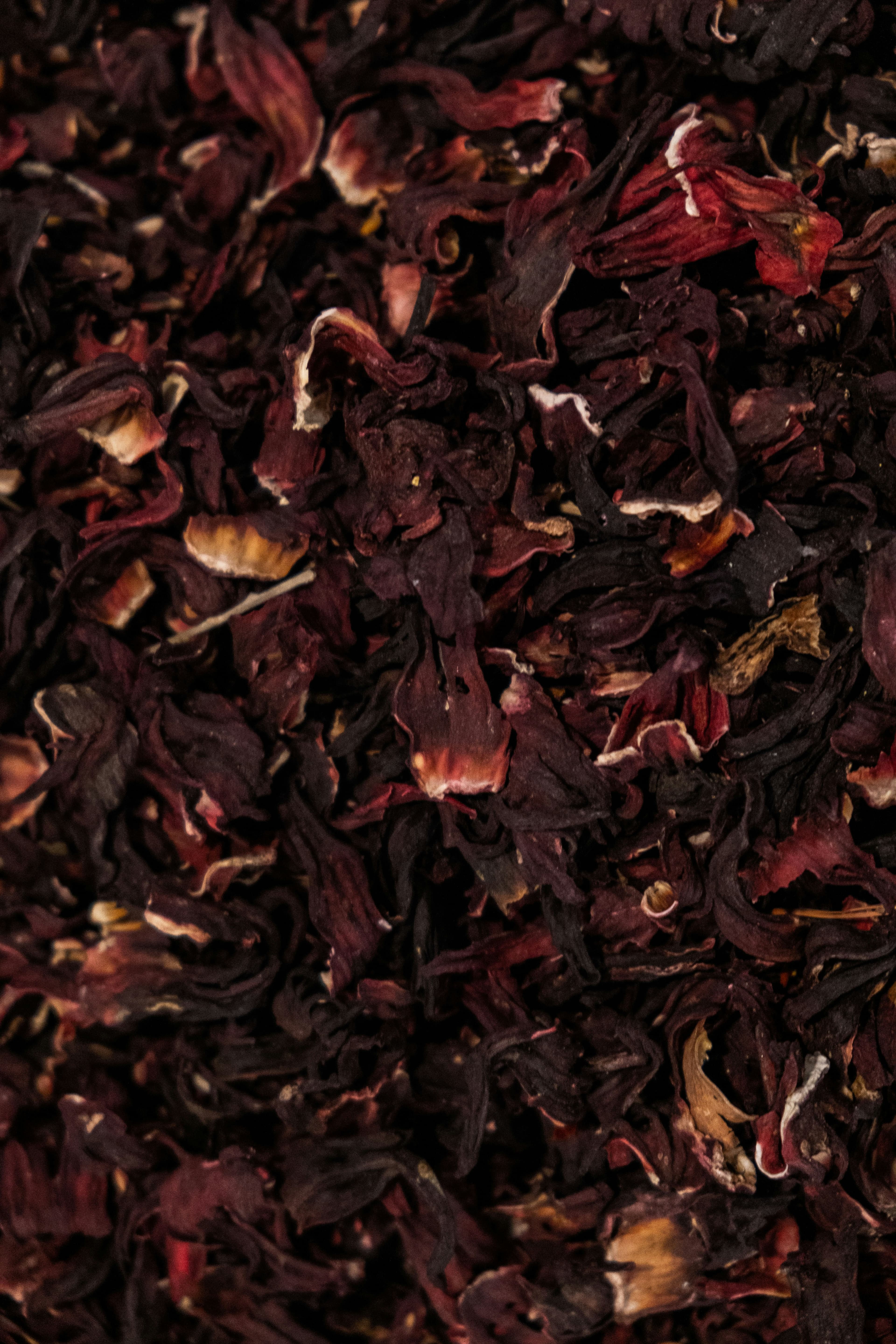 Hibiscus Flowers